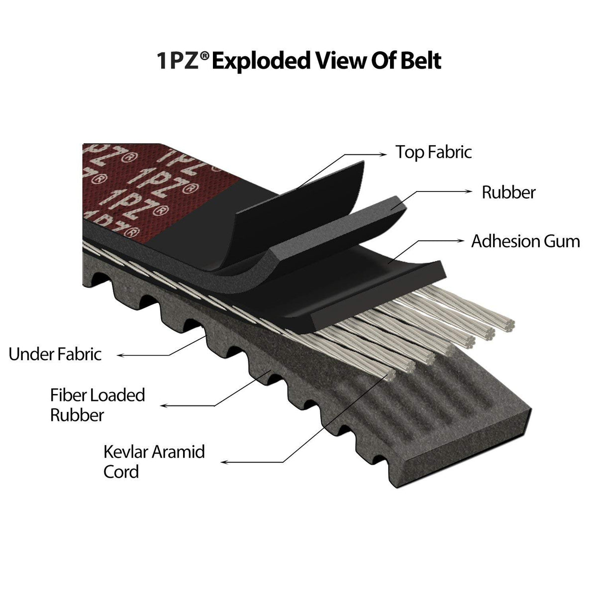 1PZ close-up of belt rib profile with clear wear-resistant texture