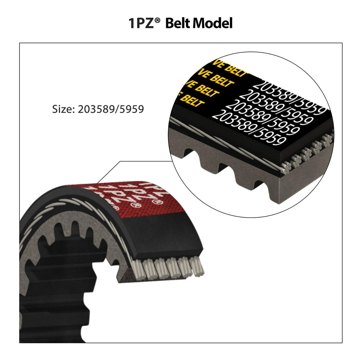 1PZ three belts laid flat with ruler showing correct 30-series scale