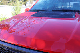 303 Products close-up paint surface with water beading for improved protection