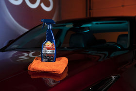 303 Products in hand to show 32 oz scale and easy handling benefit