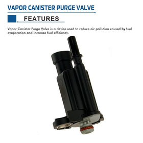 A ABIGAIL close-up of electrical connector ensuring correct plug fit