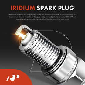 A-Premium coils and plugs laid out as a complete kit for easy full-bank replacement