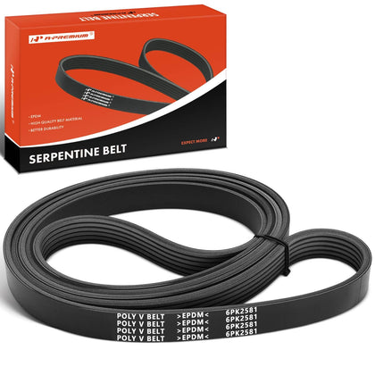 A-Premium front packaging view showing belt and clear size stamp for easy identification