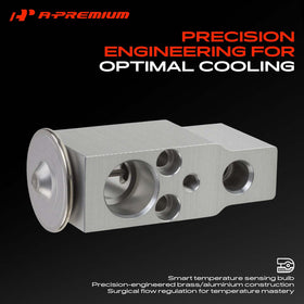 Detail of two mounting holes on A-Premium valve demonstrating secure OE-style attachment