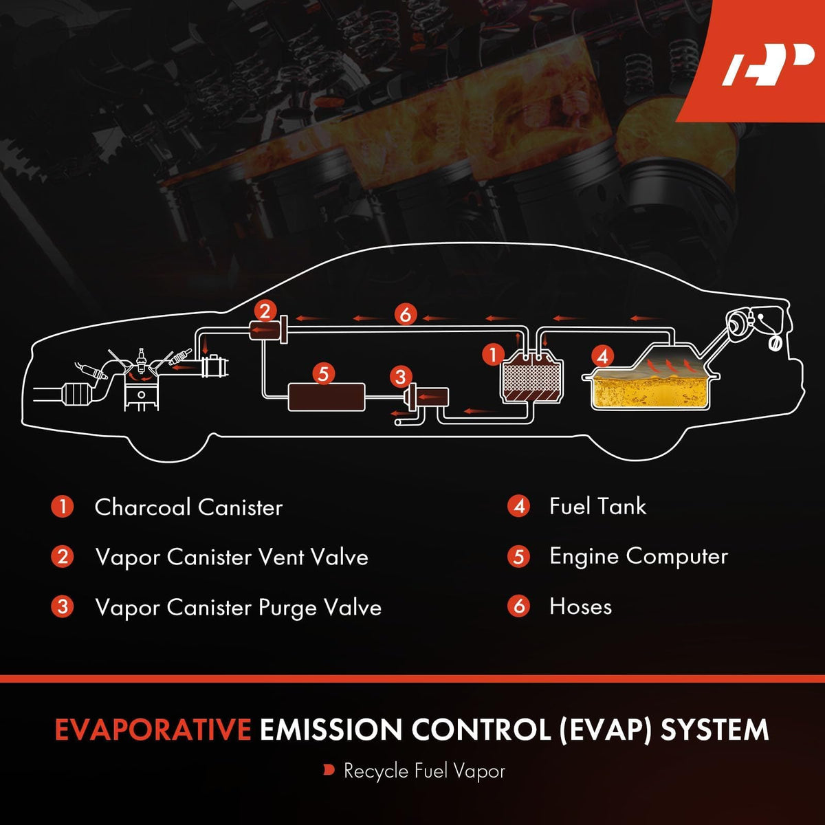 A-Premium part next to OEM label showing cross-reference verification benefit