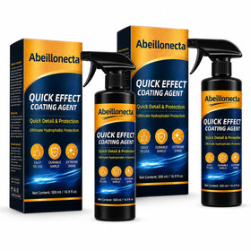Abeillonecta used during driveway detailing illustrating quick maintenance