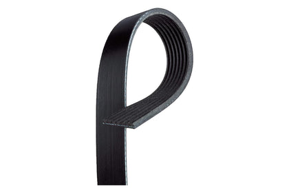 ACDelco serpentine belt front view showing full profile and fit for GM vehicles