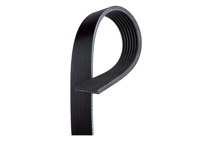 ACDelco serpentine belt front view showing full profile and fit for GM vehicles