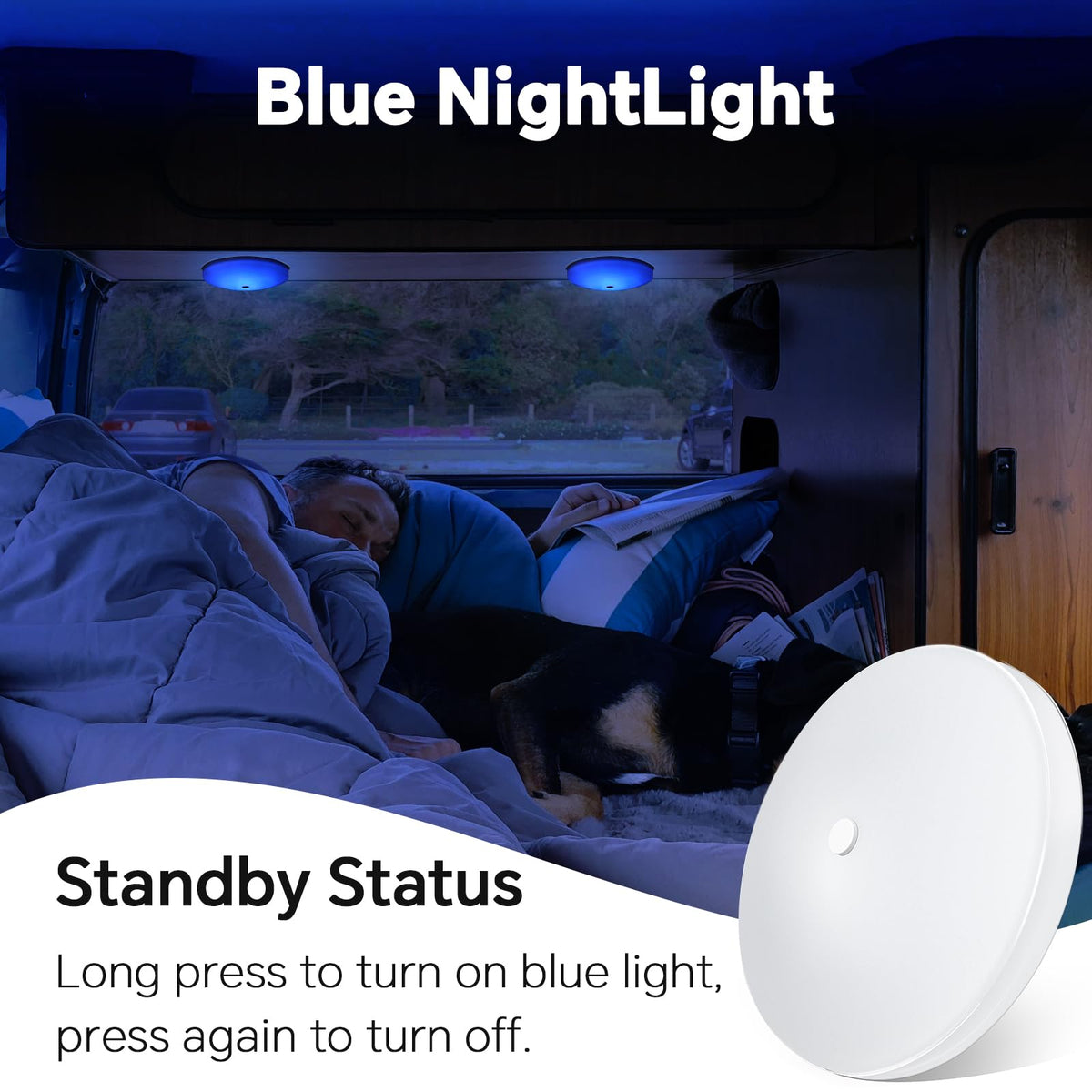 acegoo installed on RV ceiling providing bright, adjustable lighting