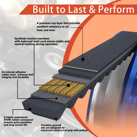 Acyoyava belt next to ruler showing correct length and fitment benefit