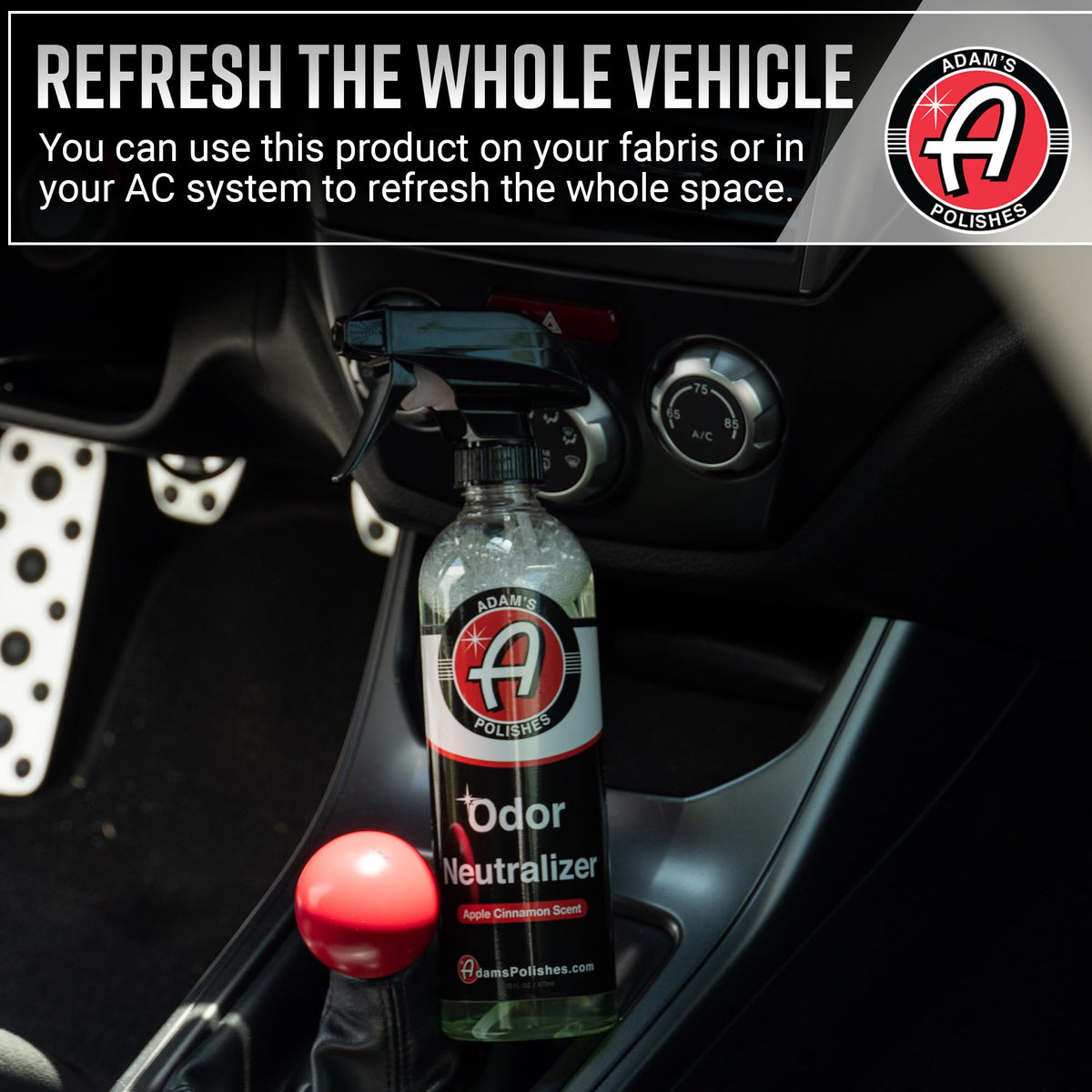 Adam's Polishes used in car with dog illustrating pet-odor control benefit