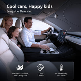 Adefor in a parked car at a sunny location showing interior preservation