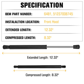 Aeagle gas spring close-up showing treated piston rod and corrosion-resistant coating