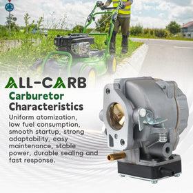ALL-CARB gasket and fuel filter detail ensuring leak-free sealing and clean fuel