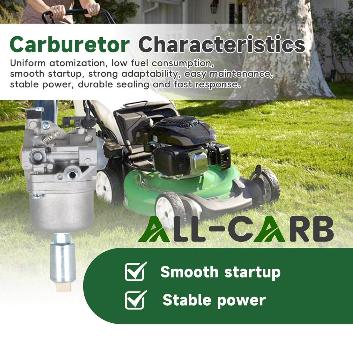 ALL-CARB next to ruler showing dimensions for accurate compatibility check