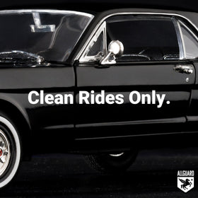 AllGuard towel beside wash bucket ready to speed car detailing