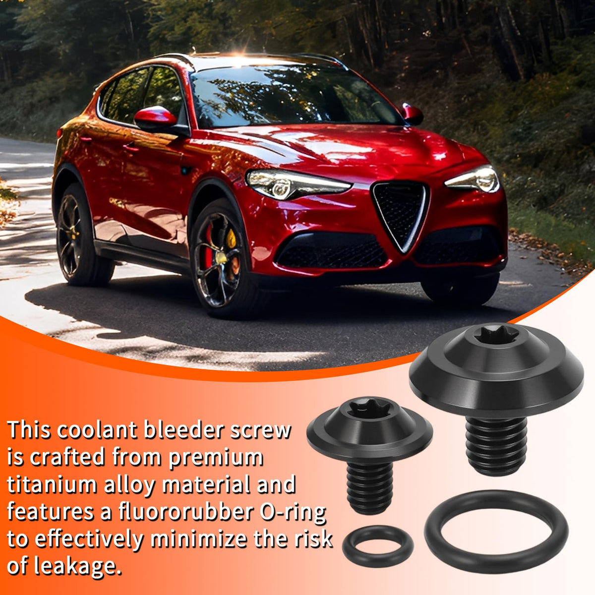 Alpha Rider black-coated screw head detail showing corrosion resistance and tool engagement