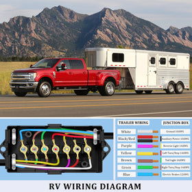 Anayguto box connected to wiring harness demonstrating organized connections benefit