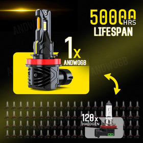 ANDWOGB installed low beam on Tacoma improving near-field visibility