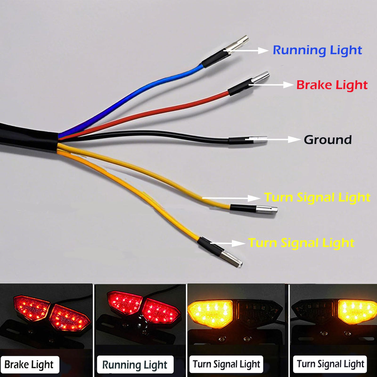 Anki HappiGo LED array detail showing 18 LEDs for brighter signaling