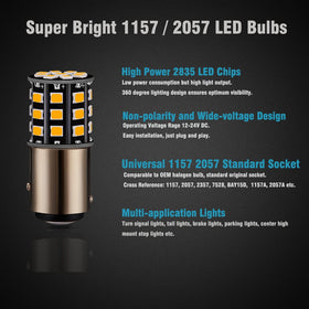 Antline bulb beside coin to show scale for easy compatibility assessment benefit