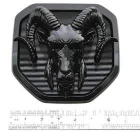Anyfew emblem on truck in driveway showing subtle blacked-out styling benefit