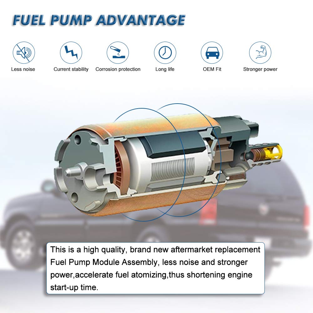 Apeixoto module installed in fuel tank illustrating correct drop-in fit