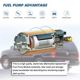 Apeixoto module installed in fuel tank illustrating correct drop-in fit