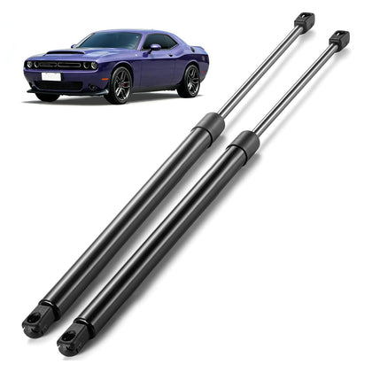 ARANA front view of trunk strut pair showing packaging and contents, reliable replacement