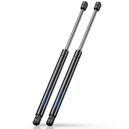 ARANA front view of two gas struts showing durable construction and clear labeling