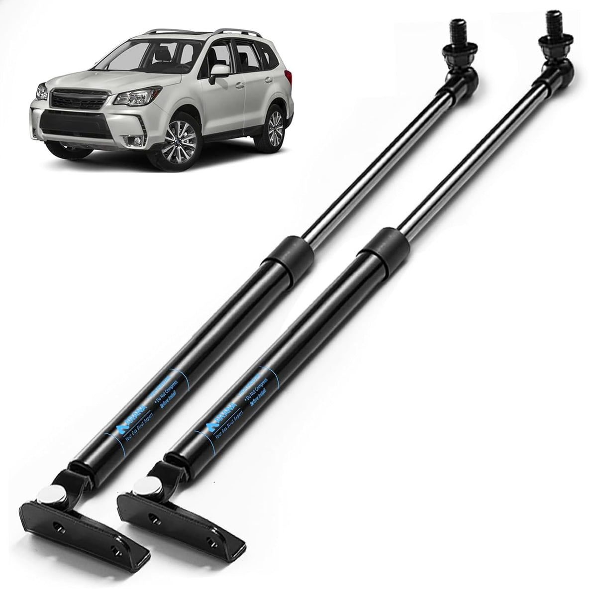 ARANA rear hatch strut front view showing fit and finish for reliable lift