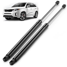 ARANA rear hatch struts front packaging showing OEM-fit assurance and clear labeling