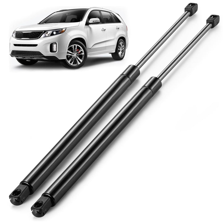 ARANA rear hatch struts front packaging showing OEM-fit assurance and clear labeling
