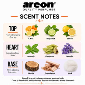 AREON hanging from a rearview mirror in a car providing fresh interior benefit