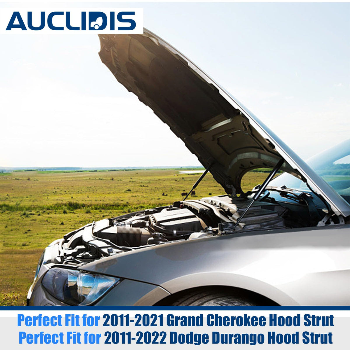 AUCLIDIS strut staged compressed and extended showing accurate OEM length measurements