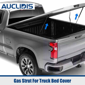 AUCLIDIS gas struts installed on RV bed storage demonstrating smooth lift and hands-free access