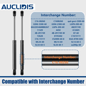 AUCLIDIS installed on RV cargo door providing smooth lift support