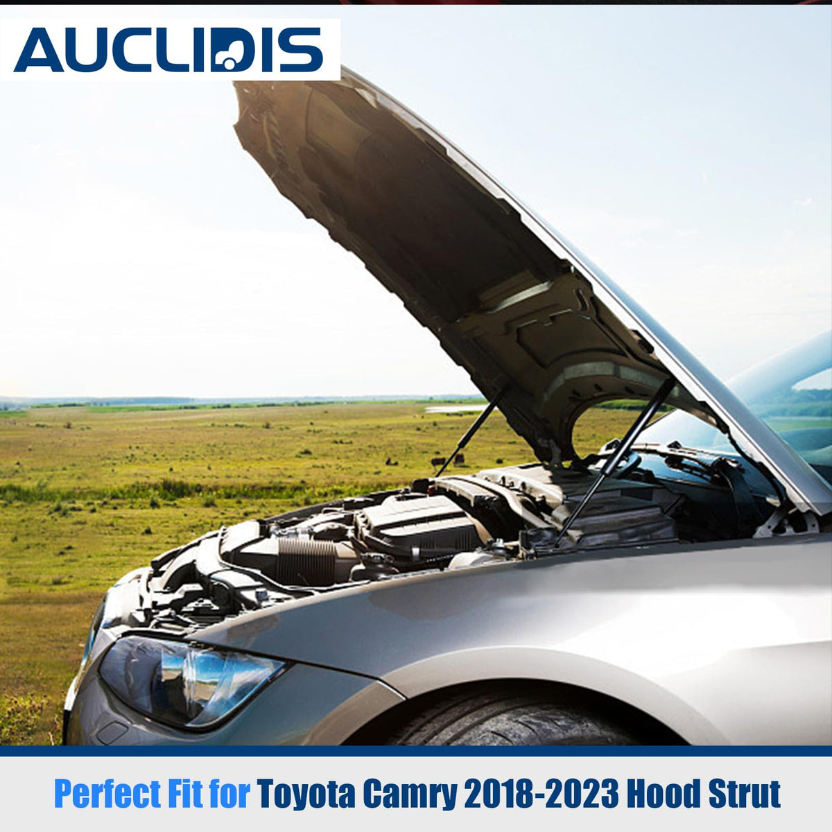 AUCLIDIS gas strut cylinder label and finish showing durable build