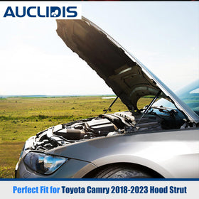 AUCLIDIS gas strut cylinder label and finish showing durable build