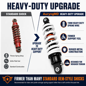 AuryngMD installed on pit bike swingarm demonstrating ride stability