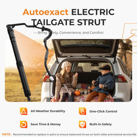 autoexact end mount and electrical connector for plug-and-play installation