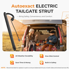 autoexact motor with electrical connector detail improving quiet reliable operation