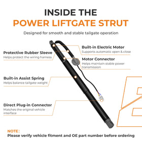 autoexact left and right struts paired to ensure correct balanced lift support
