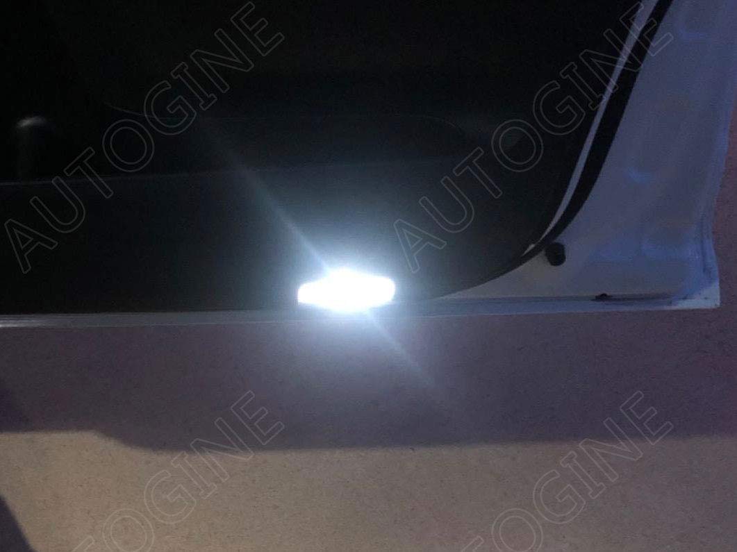 AUTOGINE bulb beside coin to show compact size and correct fitment