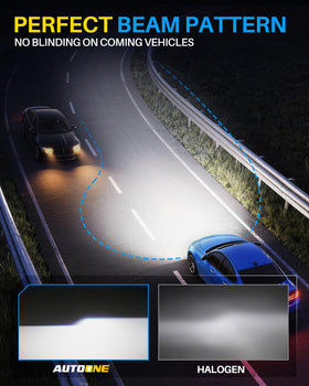 AUTOONE H11 driver unit detail illustrating Canbus-ready circuitry and reliability