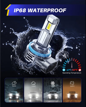 AUTOONE next to halogen bulb showing compact 1:1 size fit