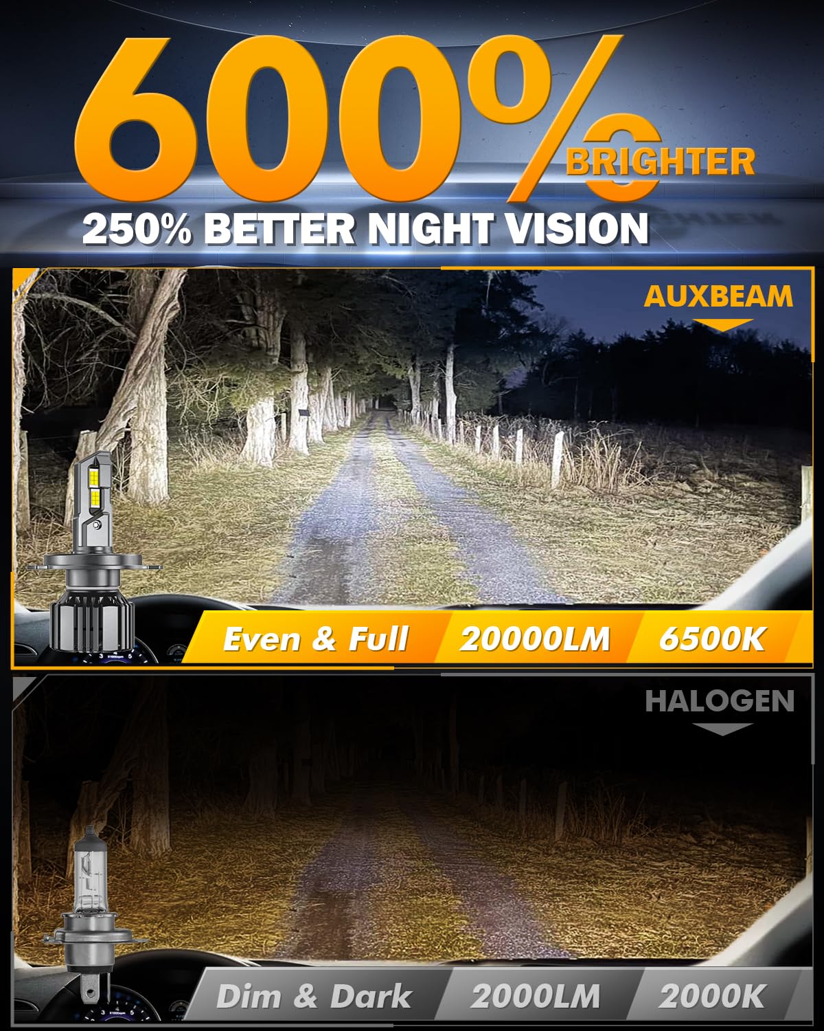 Auxbeam beam pattern on dark road showing extended visibility performance