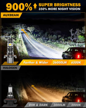 Auxbeam Q50 beam pattern on road demonstrating focused cut-off and wider spread