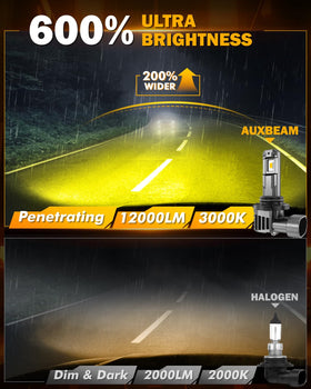 Auxbeam beam pattern projected on wet road demonstrating reduced glare