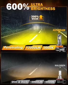 Auxbeam Q6 close-up of 5530 CSP chip highlighting high efficiency and long life